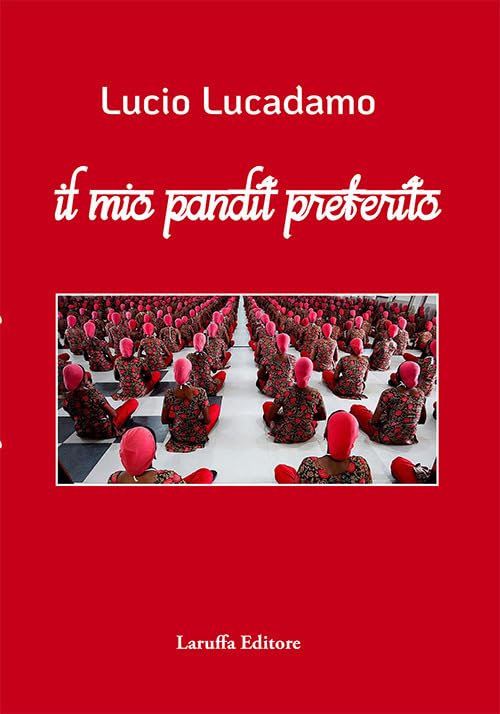 Copertina Il mio pandit preferito